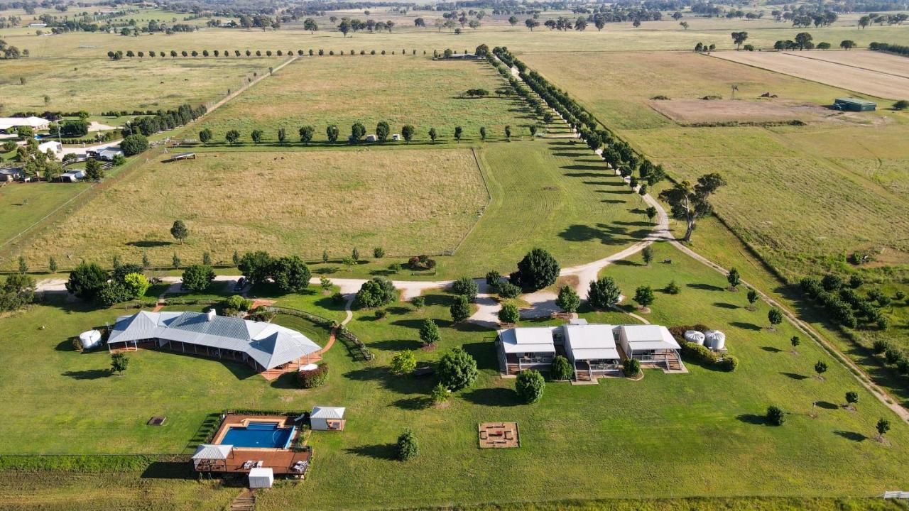 Owl Head Lodge Gulgong Esterno foto