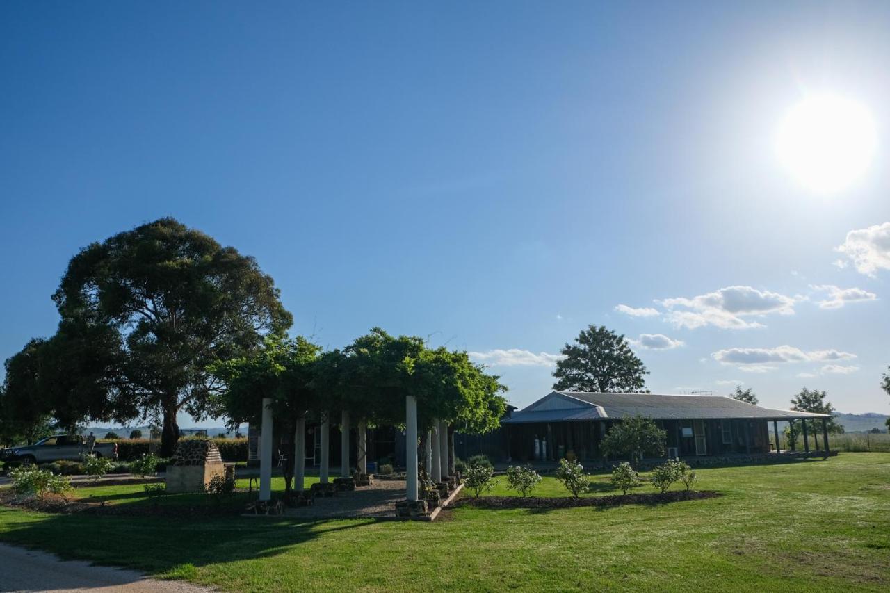 Owl Head Lodge Gulgong Esterno foto