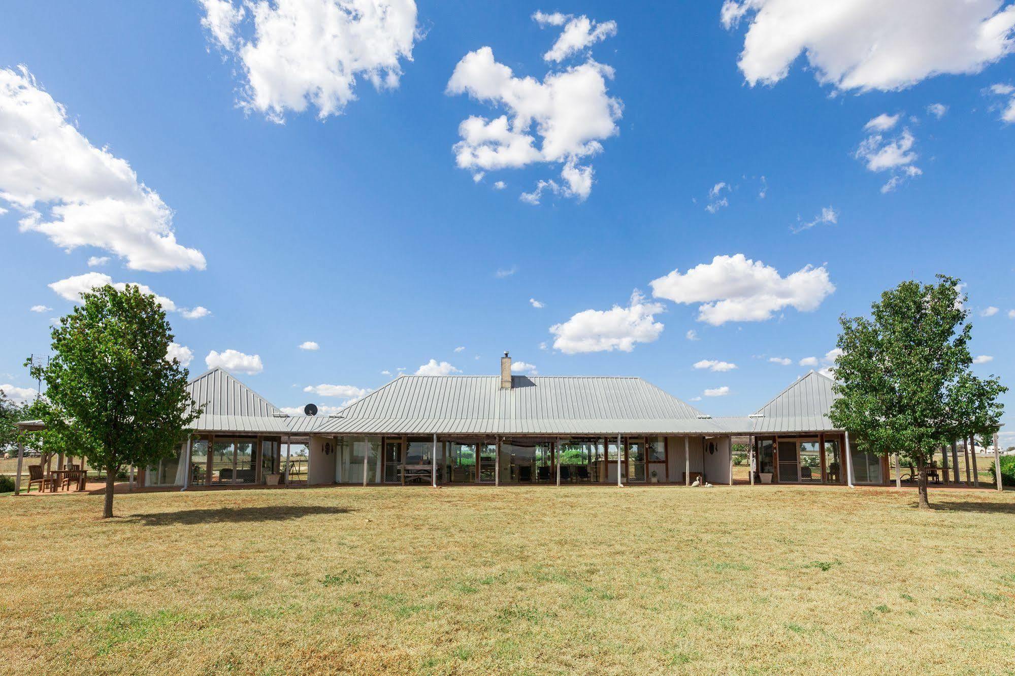 Owl Head Lodge Gulgong Esterno foto