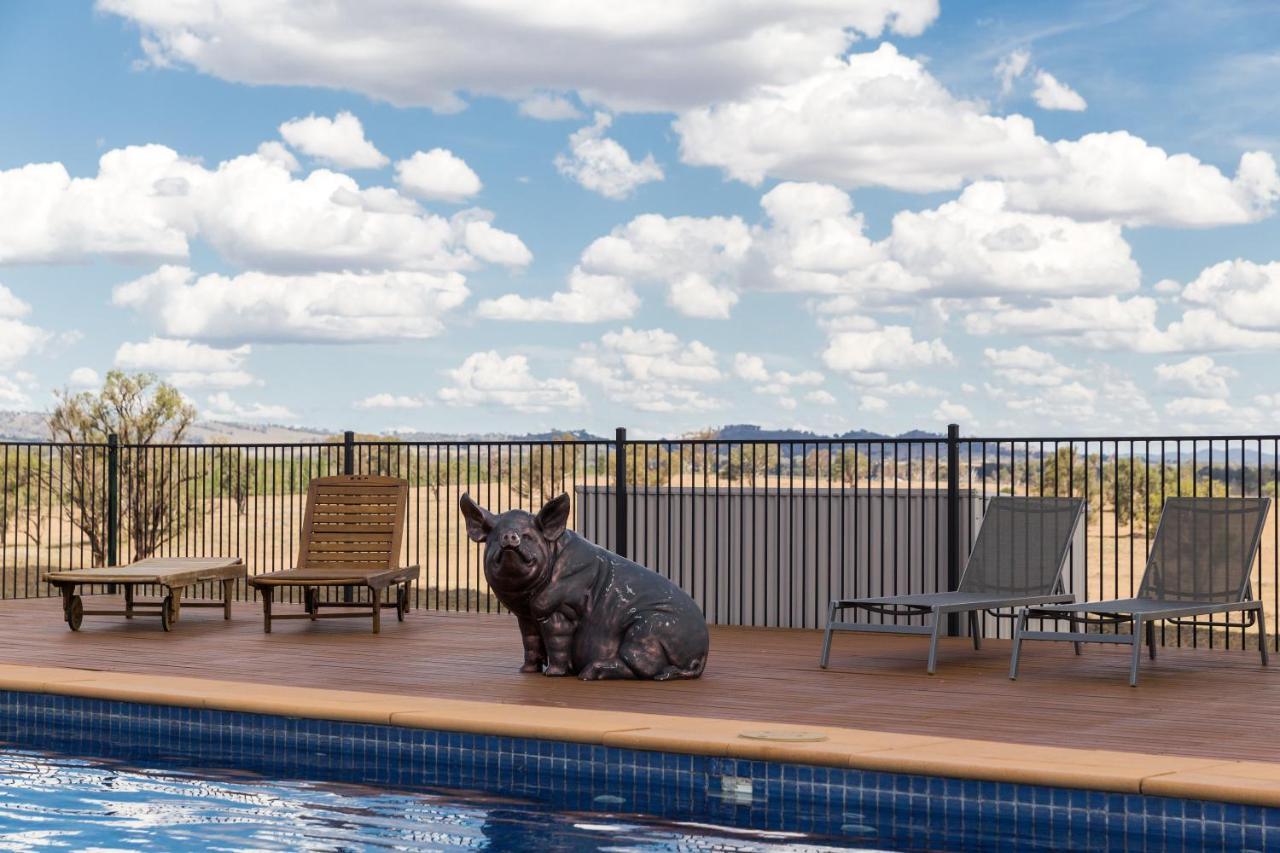 Owl Head Lodge Gulgong Esterno foto